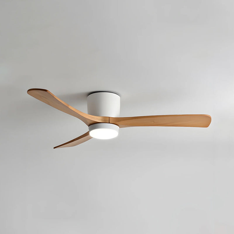 Ibalody Ceiling Fan Light
