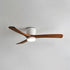Ibalody Ceiling Fan Light