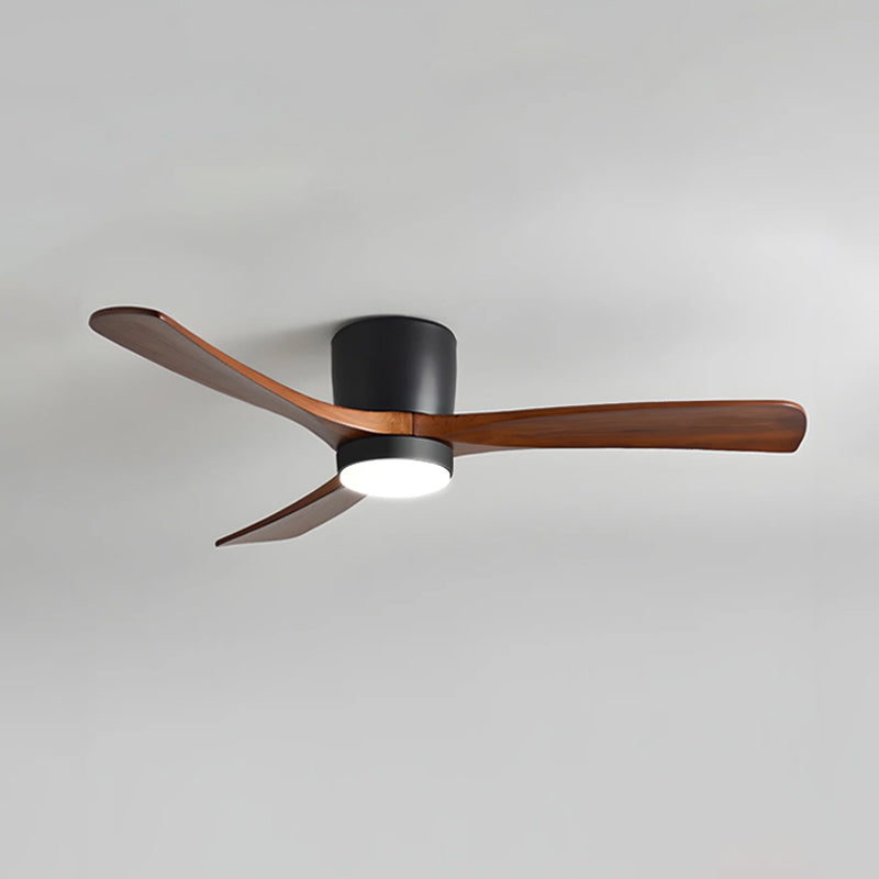 Ibalody Ceiling Fan Light
