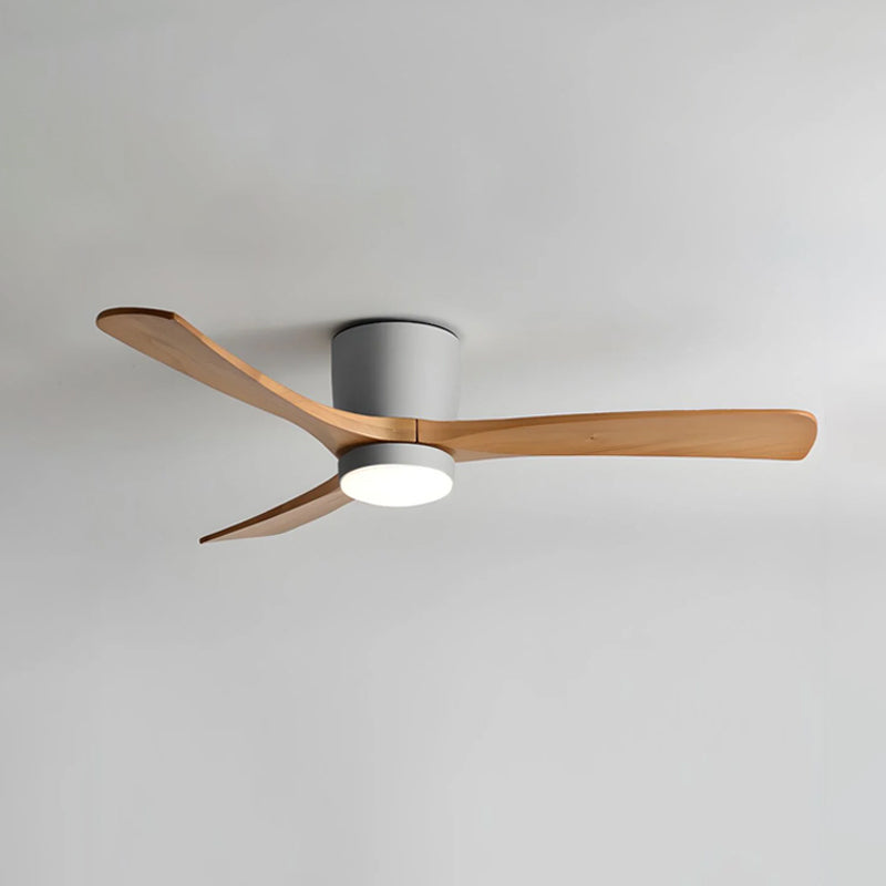 Ibalody Ceiling Fan Light