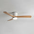 Ibalody Ceiling Fan Light