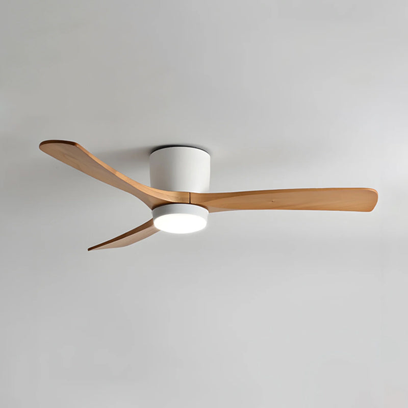 Ibalody Ceiling Fan Light