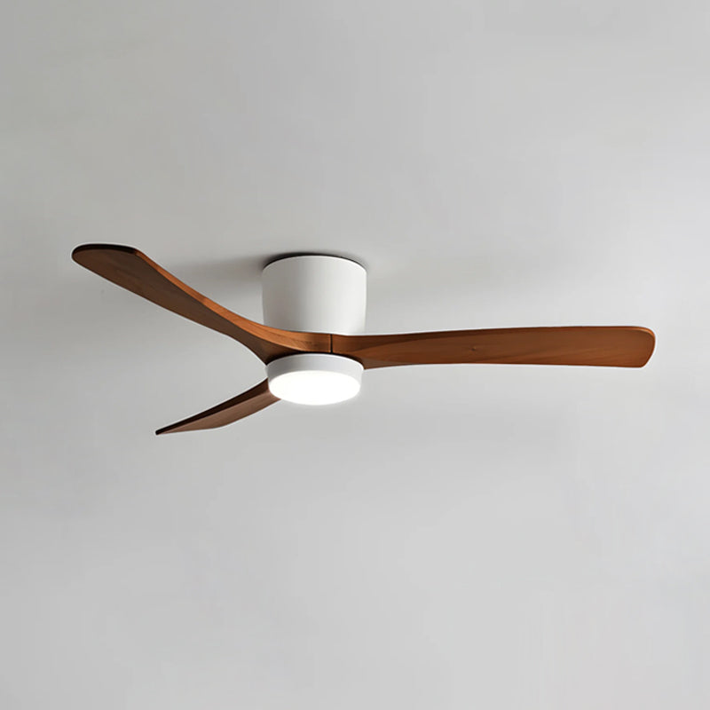 Ibalody Ceiling Fan Light