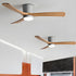 Ibalody Ceiling Fan Light