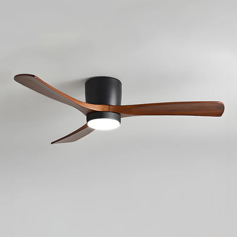 Ibalody Ceiling Fan Light