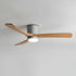 Ibalody Ceiling Fan Light