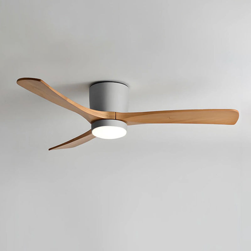 Ibalody Ceiling Fan Light