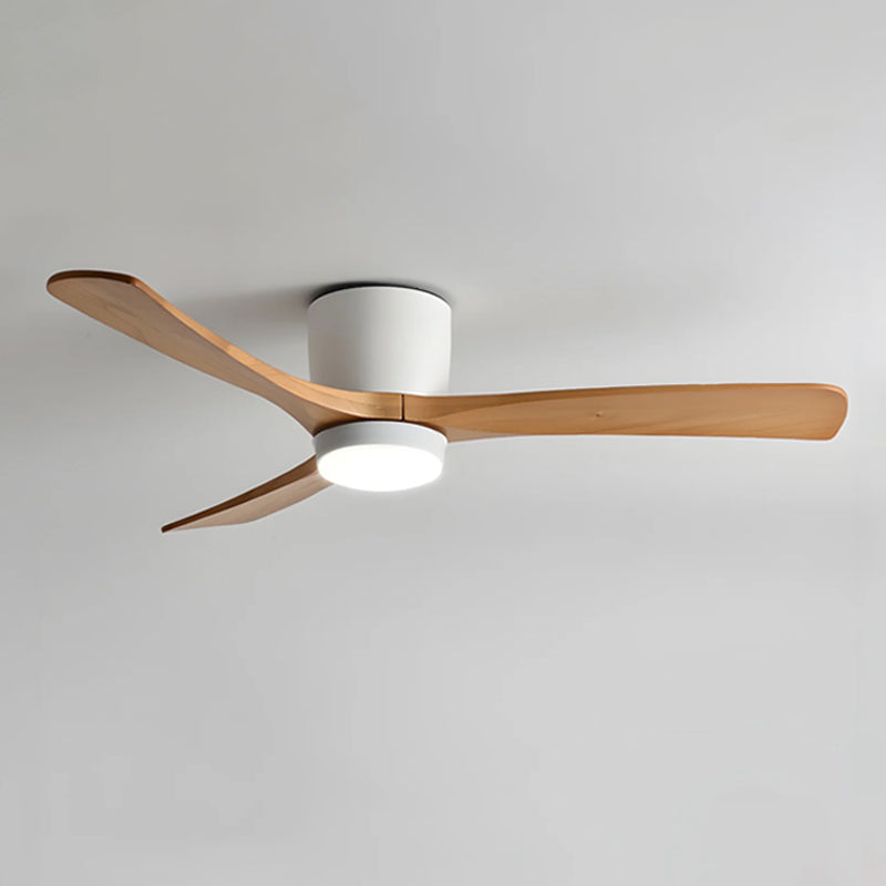 Ibalody Ceiling Fan Light