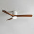 Ibalody Ceiling Fan Light