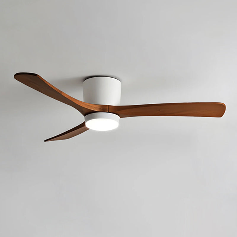 Ibalody Ceiling Fan Light