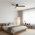 Ibalody Ceiling Fan Light