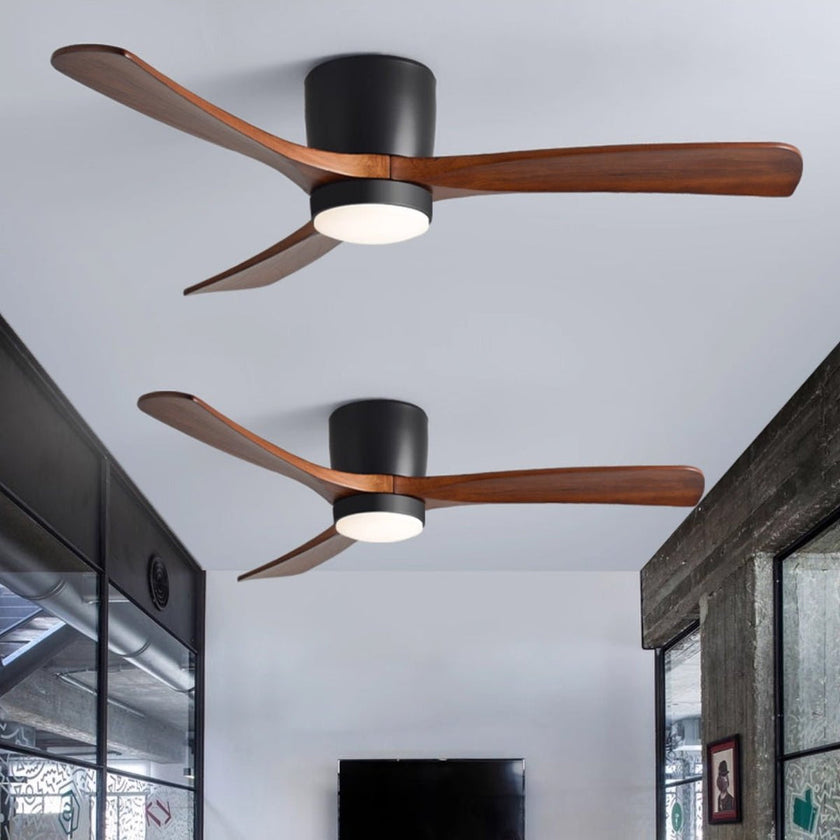 Ibalody Ceiling Fan Light