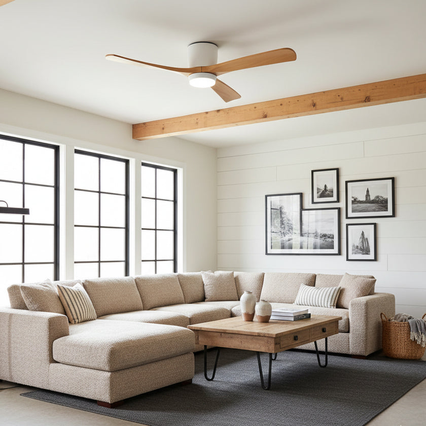 Ibalody Ceiling Fan Light