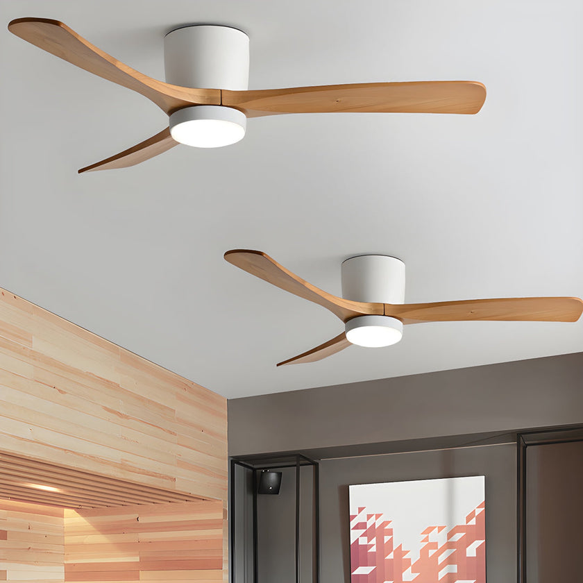 Ibalody Ceiling Fan Light