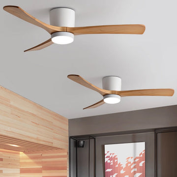 Ibalody Ceiling Fan Light