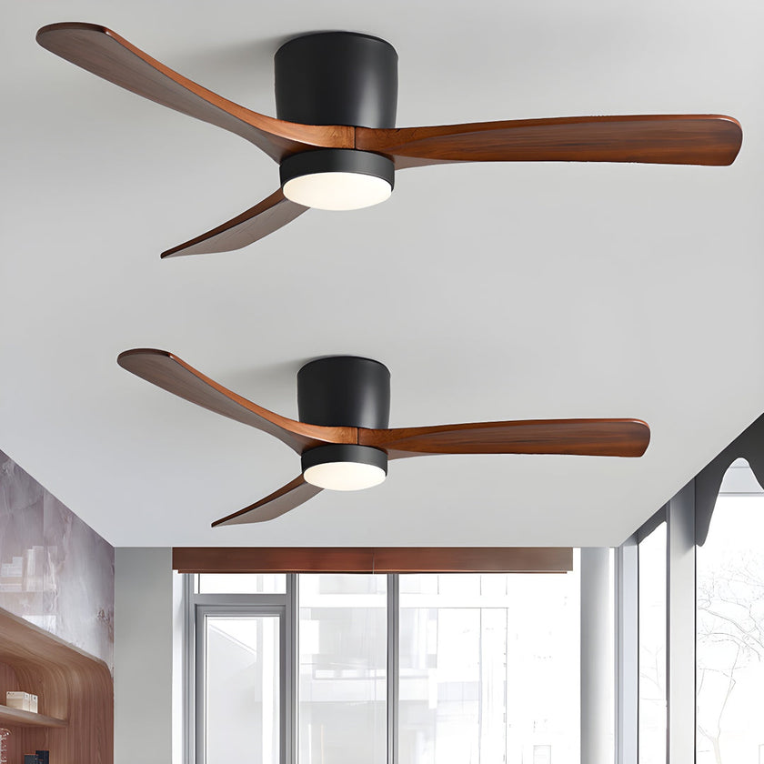 Ibalody Ceiling Fan Light