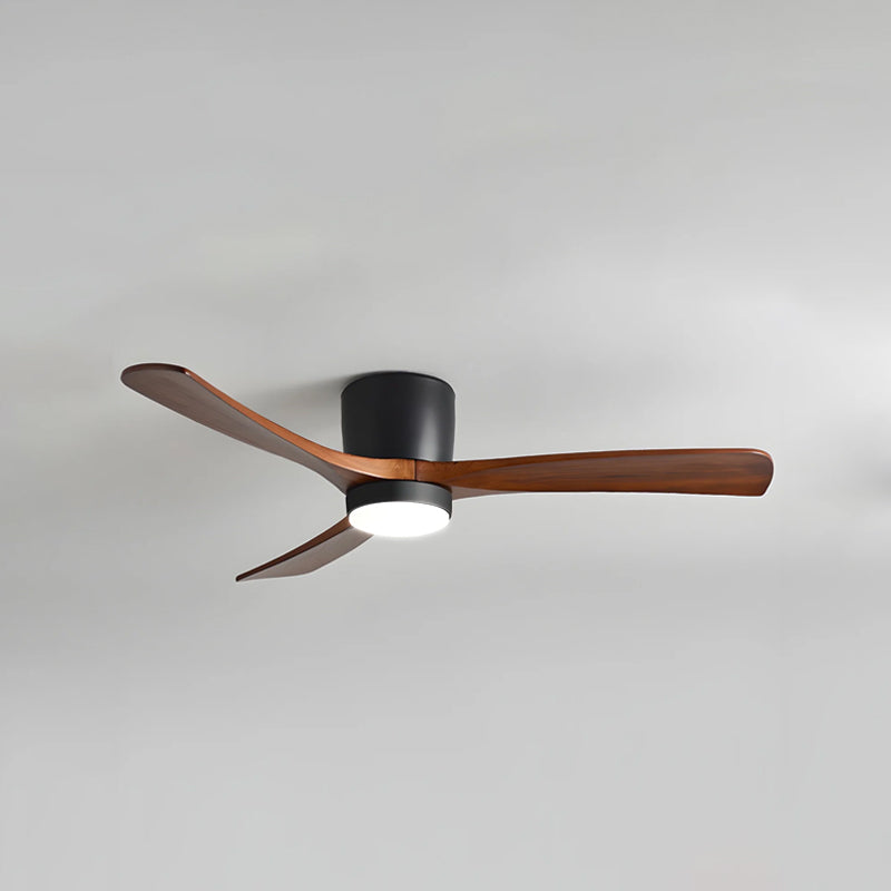 Ibalody Ceiling Fan Light