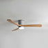 Ibalody Ceiling Fan Light