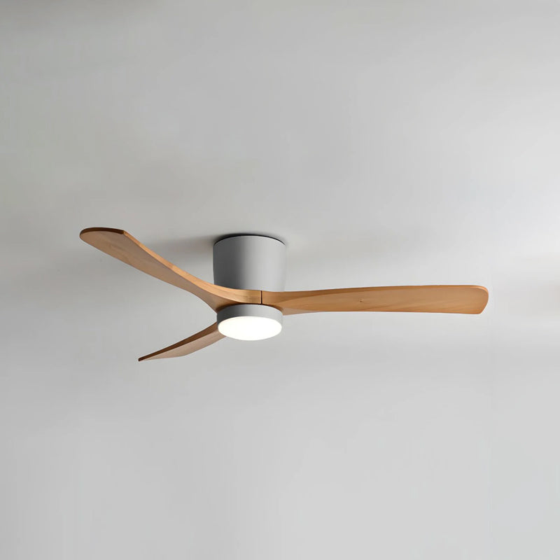 Ibalody Ceiling Fan Light