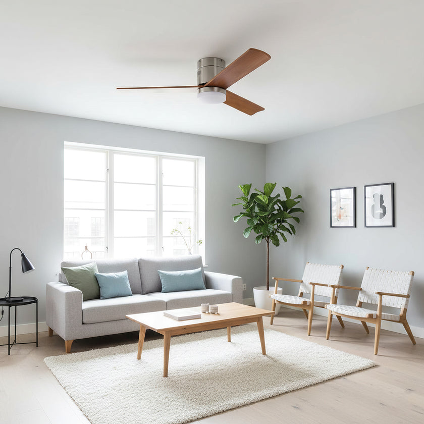 Janovia Ceiling Fan Light