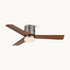 Janovia Ceiling Fan Light
