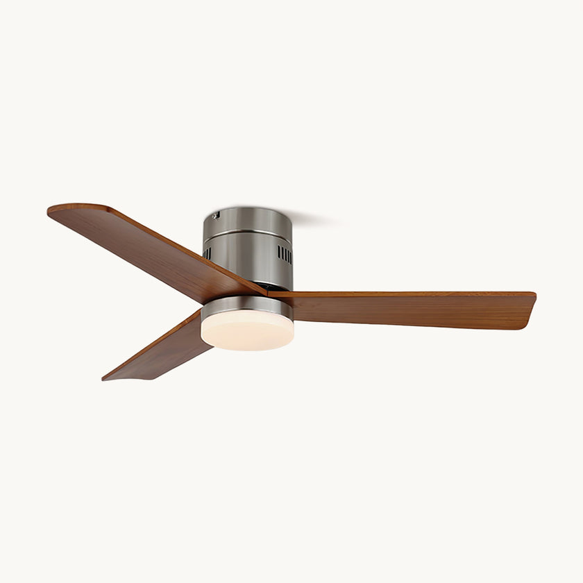Janovia Ceiling Fan Light