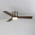 Janovia Ceiling Fan Light