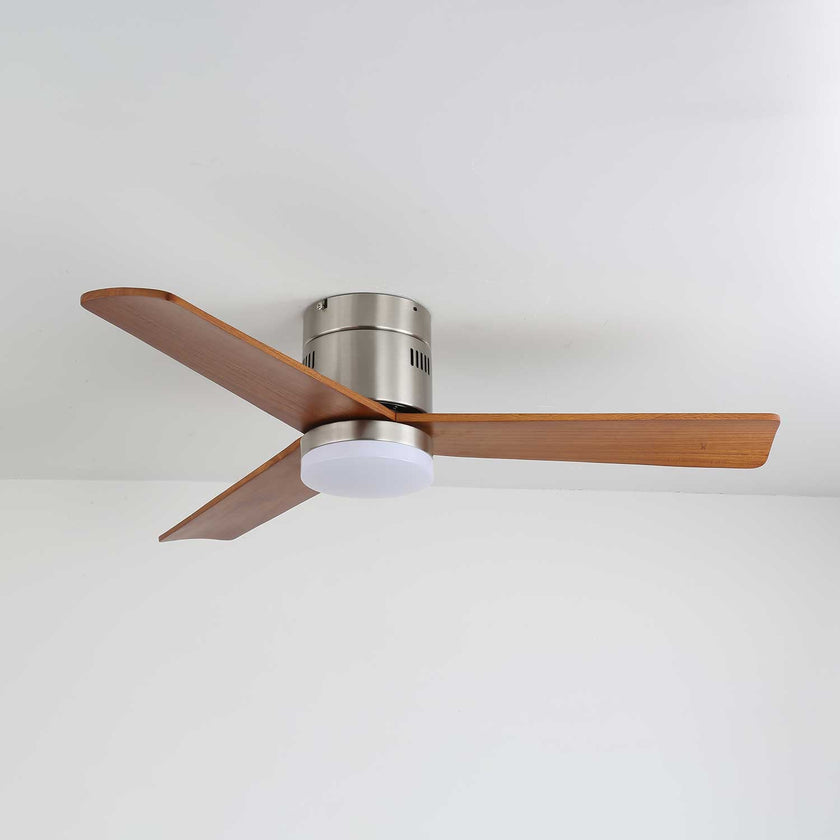 Janovia Ceiling Fan Light