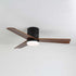 Janovia Ceiling Fan Light