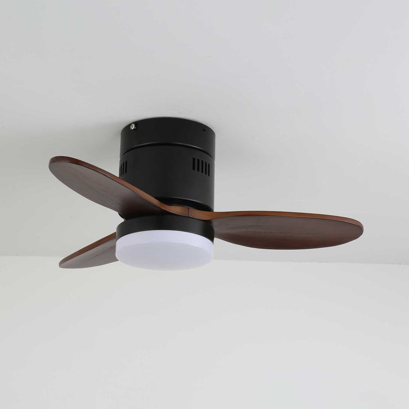 Janovia Ceiling Fan Light