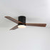 Janovia Ceiling Fan Light
