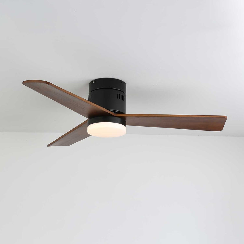 Janovia Ceiling Fan Light