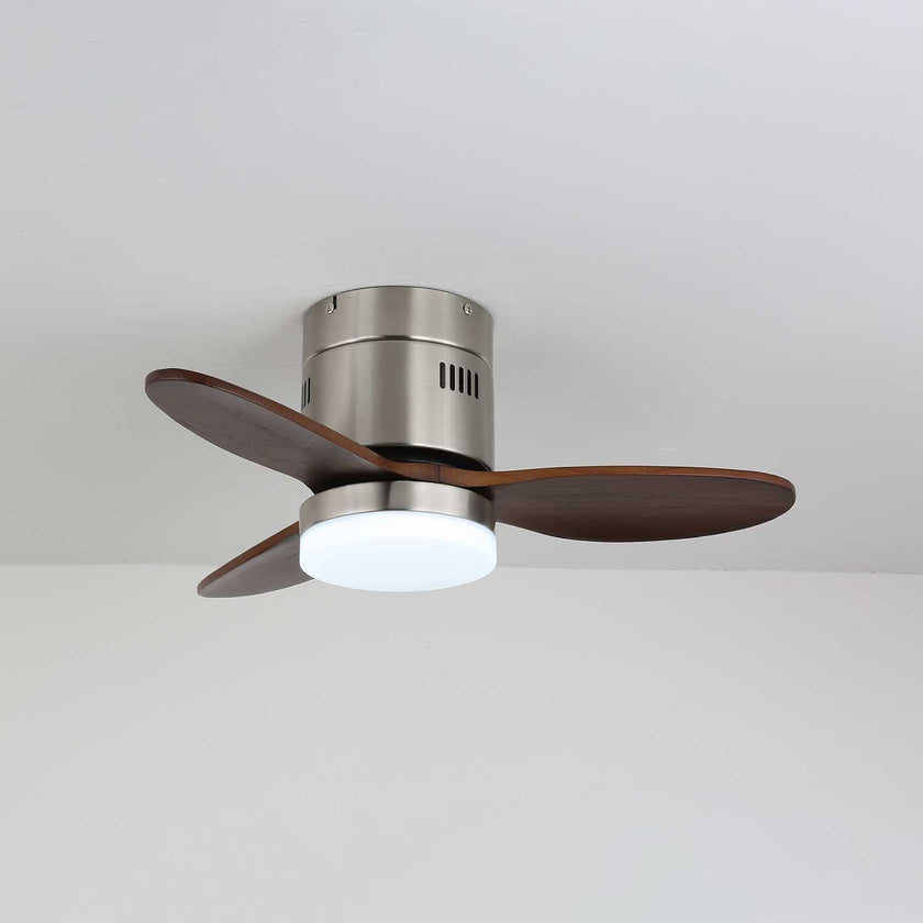Janovia Ceiling Fan Light