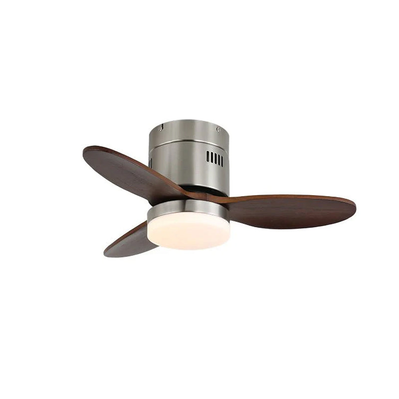 Janovia Ceiling Fan Light