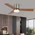Janovia Ceiling Fan Light