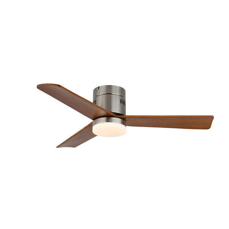 Janovia Ceiling Fan Light
