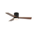Janovia Ceiling Fan Light