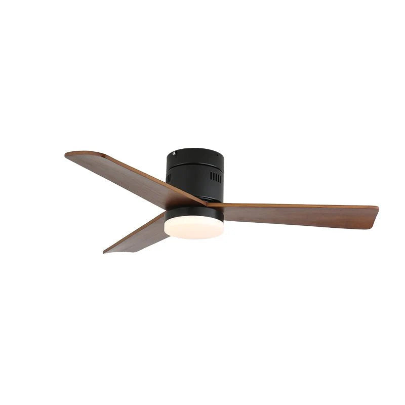 Janovia Ceiling Fan Light