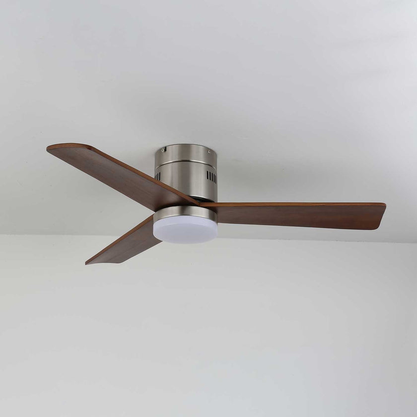 Janovia Ceiling Fan Light