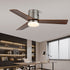 Janovia Ceiling Fan Light