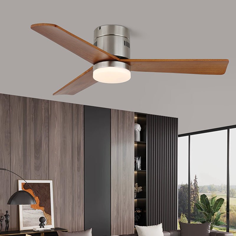 Janovia Ceiling Fan Light