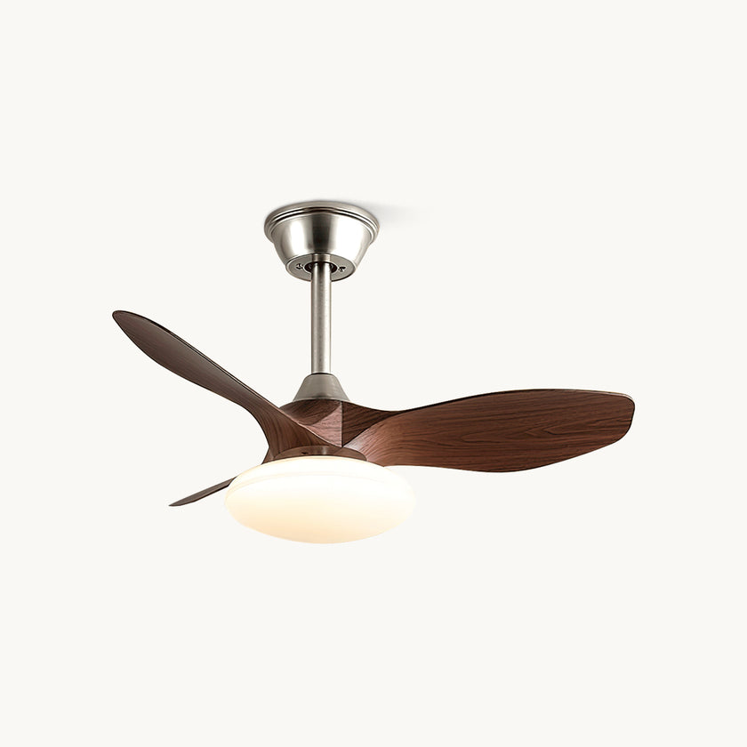 Jettry Ceiling Fan Light