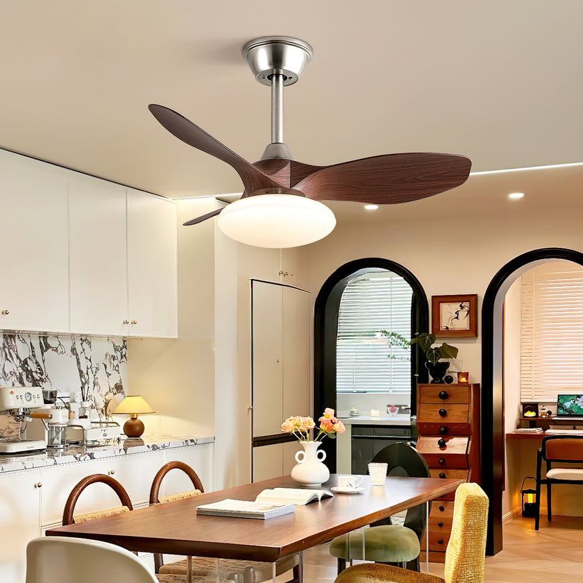 Jettry Ceiling Fan Light