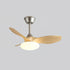 Jettry Ceiling Fan Light