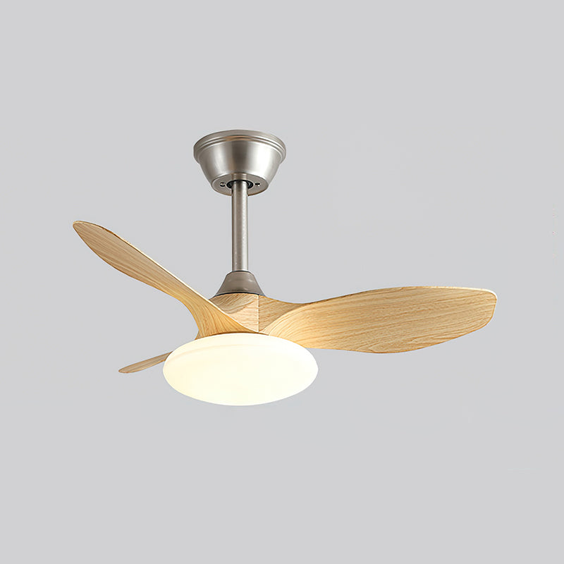 Jettry Ceiling Fan Light