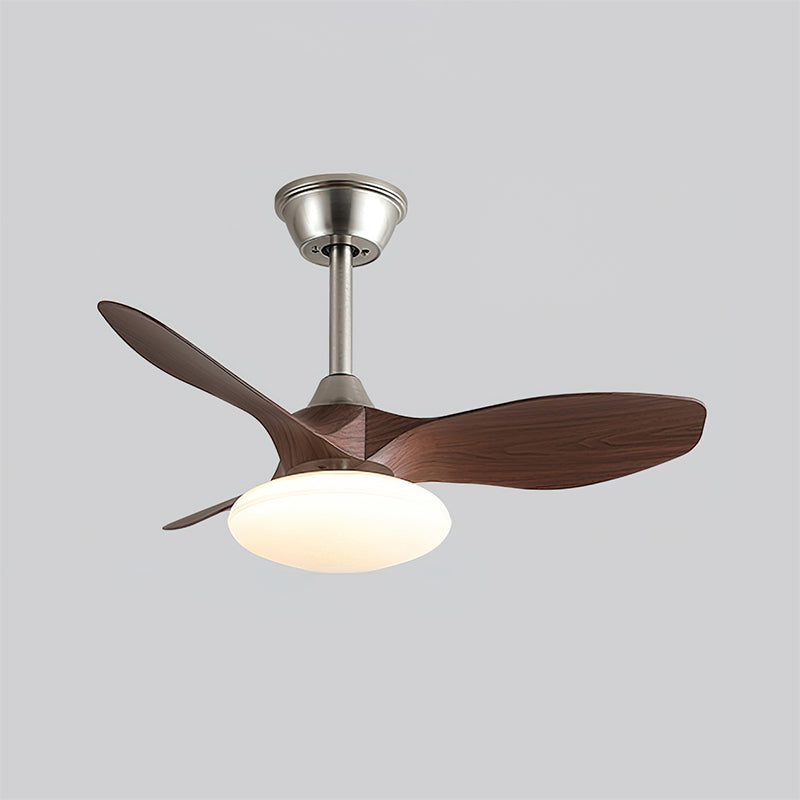 Jettry Ceiling Fan Light
