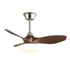 Jettry Ceiling Fan Light