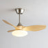 Jettry Ceiling Fan Light