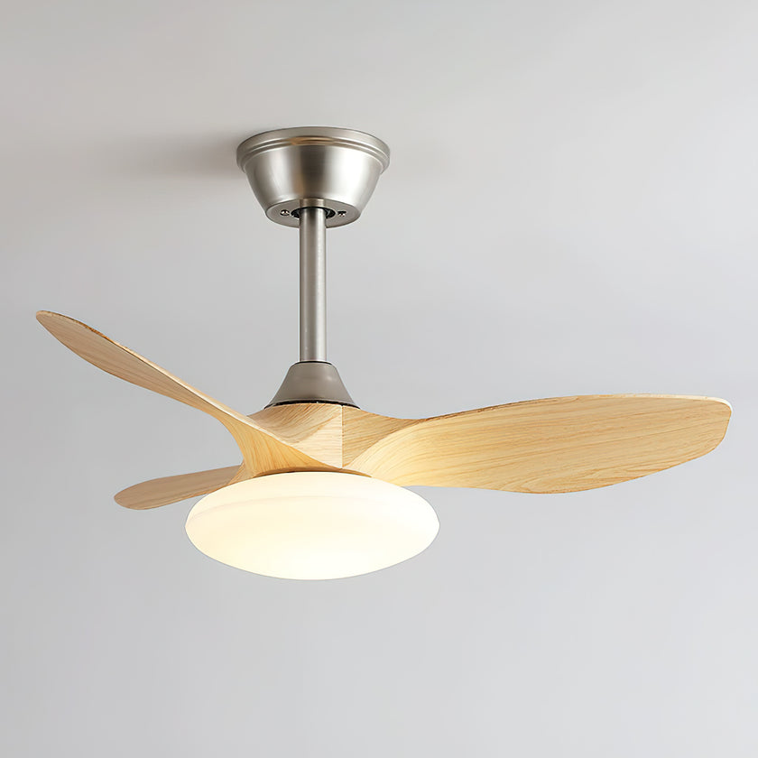 Jettry Ceiling Fan Light