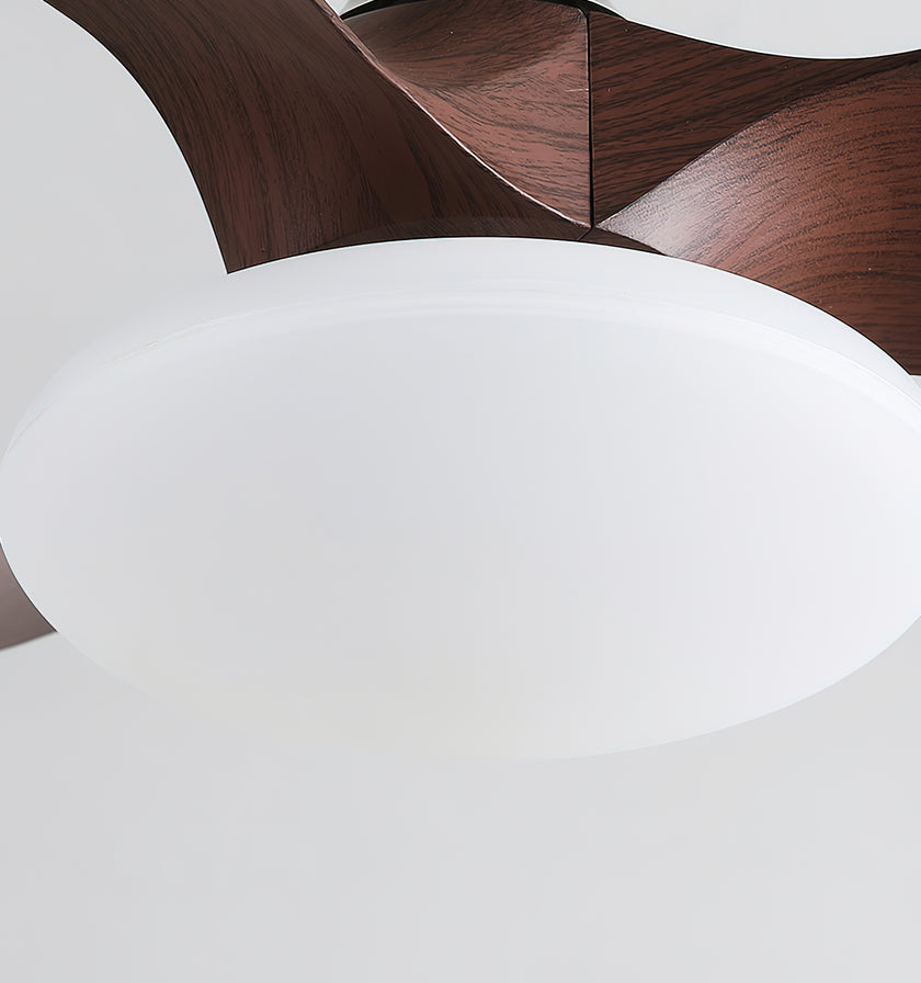 Jettry Ceiling Fan Light